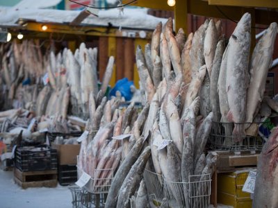 Рыбный рынок Якутска (фотографии)