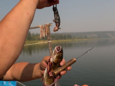 Рыбалка на Амге. Лето 2015